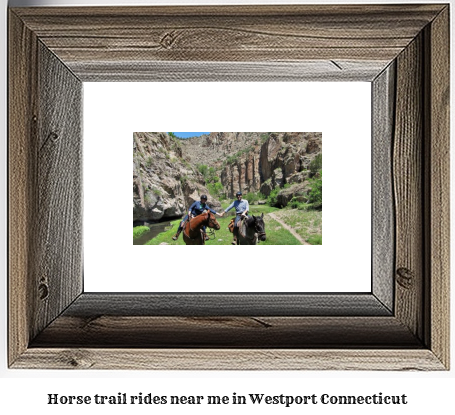 horse trail rides near me in Westport, Connecticut